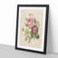 Pink Anemone Rose by Pierre-Joseph Redoute - Framed Print-55583452-55583453