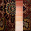 Nemi Oriental Area Rug in Red