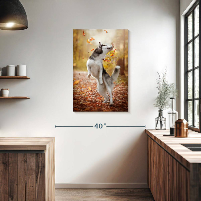 Brampt Autumn Husky Playing, 36" H x 24" W