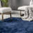 Loni Solid Machine Washable Shag Area Rug for Living Room Bedroom Dining Room Nursery-2016735307
