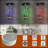 Stylish Tempered Glass Display Cabinet with LED Lights and Sturdy Construction-1563161006