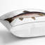 Brown Trout Fish Square Throw Cushion-56280770-56280769