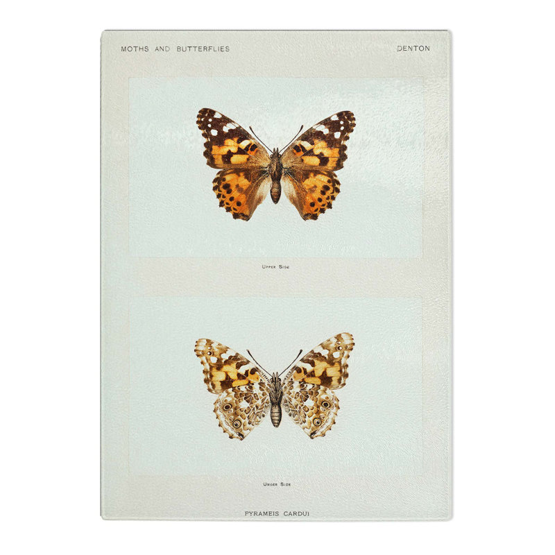 Tempered Glass Painted Lady Butterfly by S.F. Denton Chopping Board, 28.5 cm W x 39 cm L