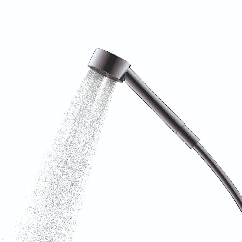 Rain Handheld Shower Head, Brushed Black Chrome