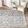 Kelly Clarkson Home Ingrid Oriental Light Gray Area Rug & Reviews | Wayfair