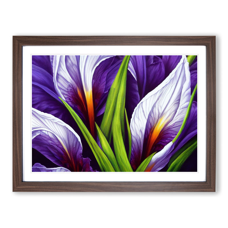 XH1022-6110X Modern Iris Flowers Vol.7 - Single Picture Frame Print, 25cm H x 34cm W x 2cm D, Walnut