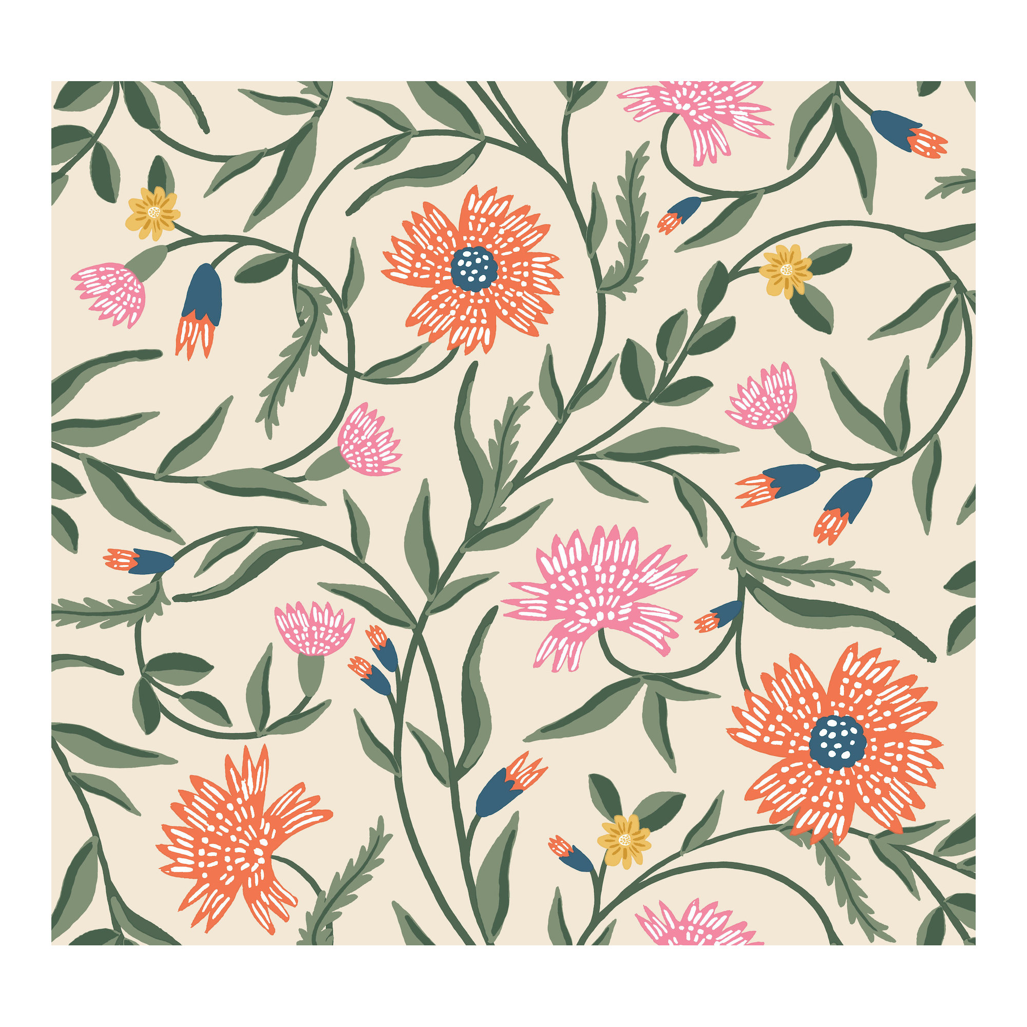 Aster Wallpaper, Coral