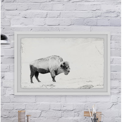 « Pâturage bison »-reproduction de photo sur papier encadrée