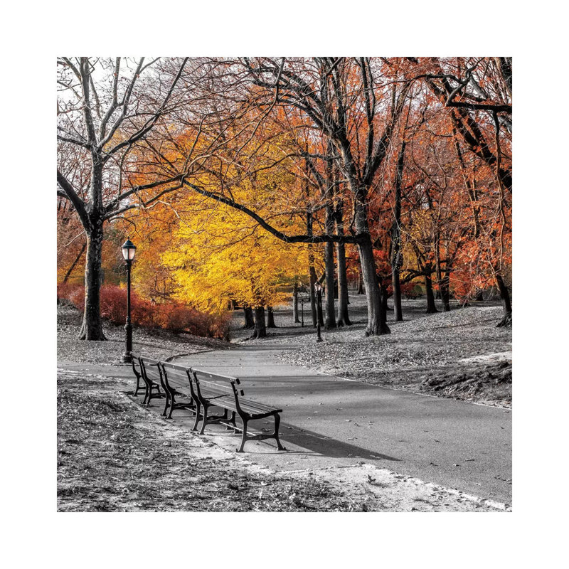 Park Pretty I by Assaf Frank - Print on Canvas, Wrapped Canvas, 30.48 cm H x 30.48 cm W