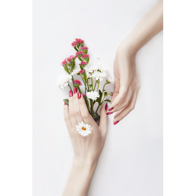 Well-Groomed Hands - Wrapped Canvas Print