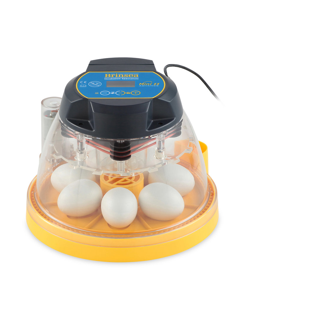 Mini II Chicken Egg Incubator For Up To 7 Eggs Brinsea