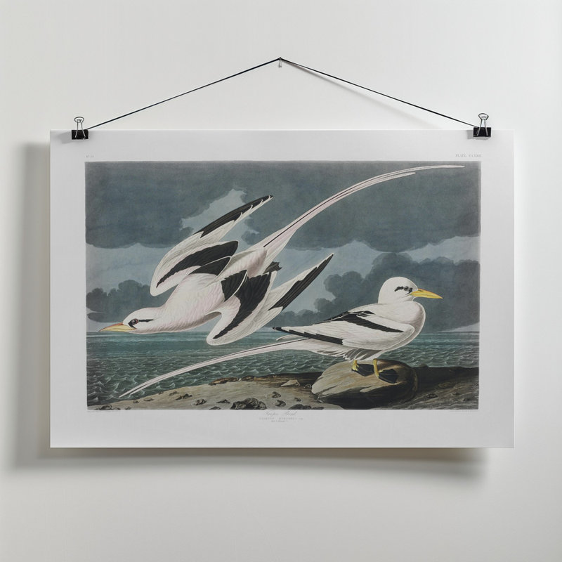Wrapped Canvas Print, 50.8 cm H x 76.2 cm W