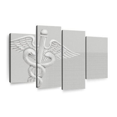 " Medical Caduceus " 4 - Pieces
