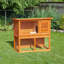 Britton Weather Resistant Rabbit Hutch