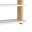 Triton Bookshelf