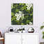 Harnek, jasmin, vignes et fleurs-109110992