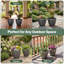 Planter-1948601841