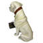 Statue de jardin Welcome Don't Stop Retriever