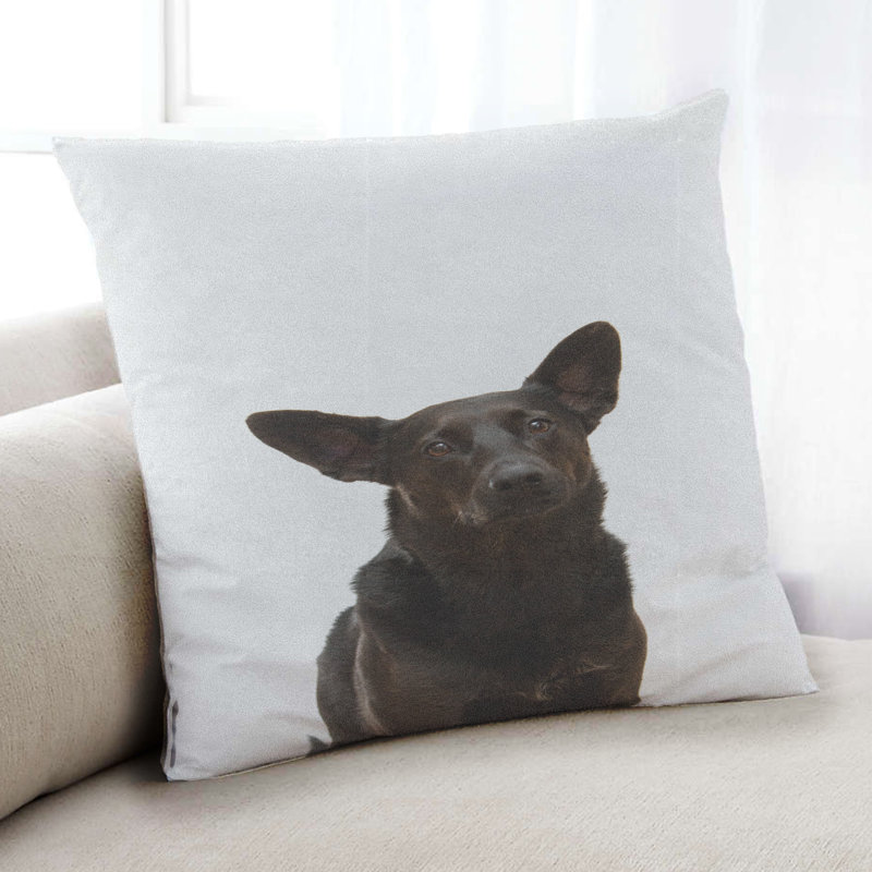 Coussin Dogs Dogs 17, Microsuède