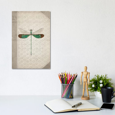 Dragonfly Book II by Kimberly Allen - Print on Canvas