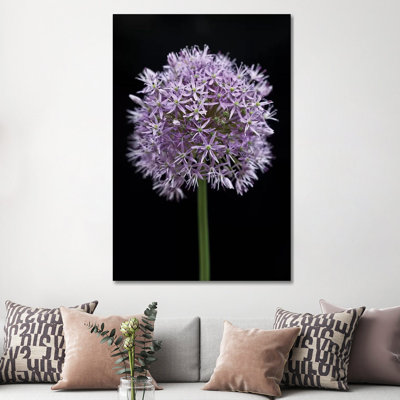 Allium Flower by Assaf Frank - Wrapped Canvas Print