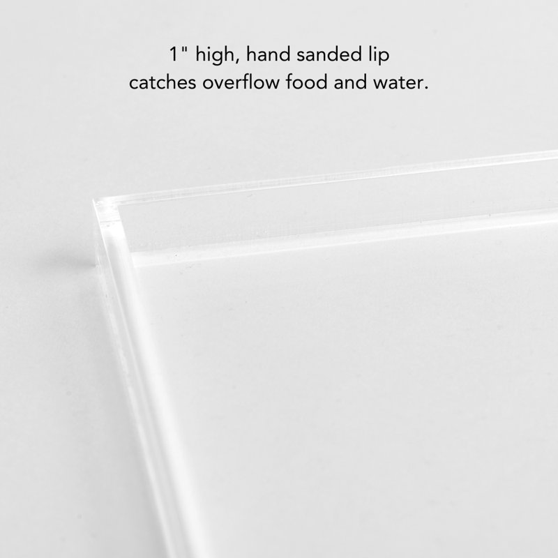 Clear Overflow Feeding Tray, Small, Clear