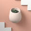 Pot de fleurs mural en plastique-734562128-734562130