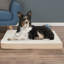 PETMAKER Orthopedic Dog Bed - Memory Foam Crate Mat with Machine Washable Cover-20768939-20782104