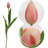 Silk Arrangement-1130139118