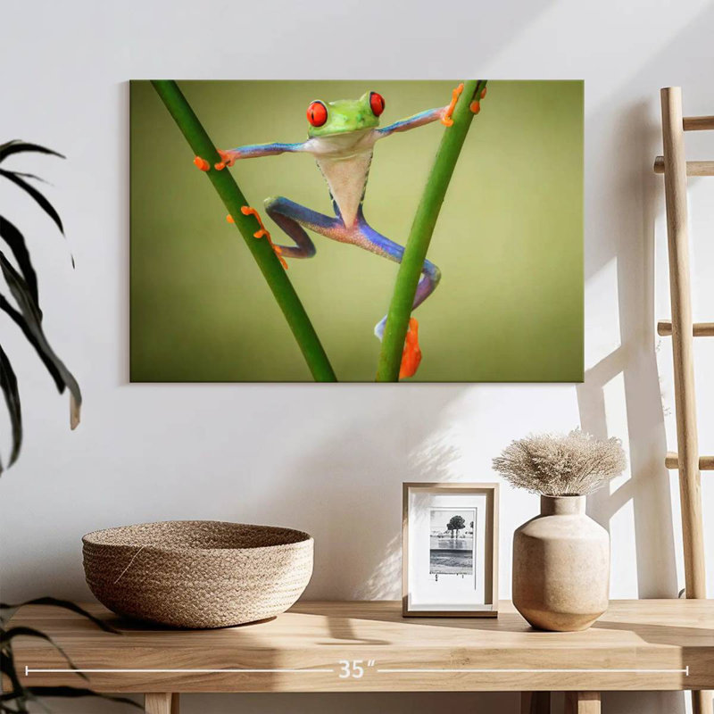 Frog Show Off, 16" H x 24" W