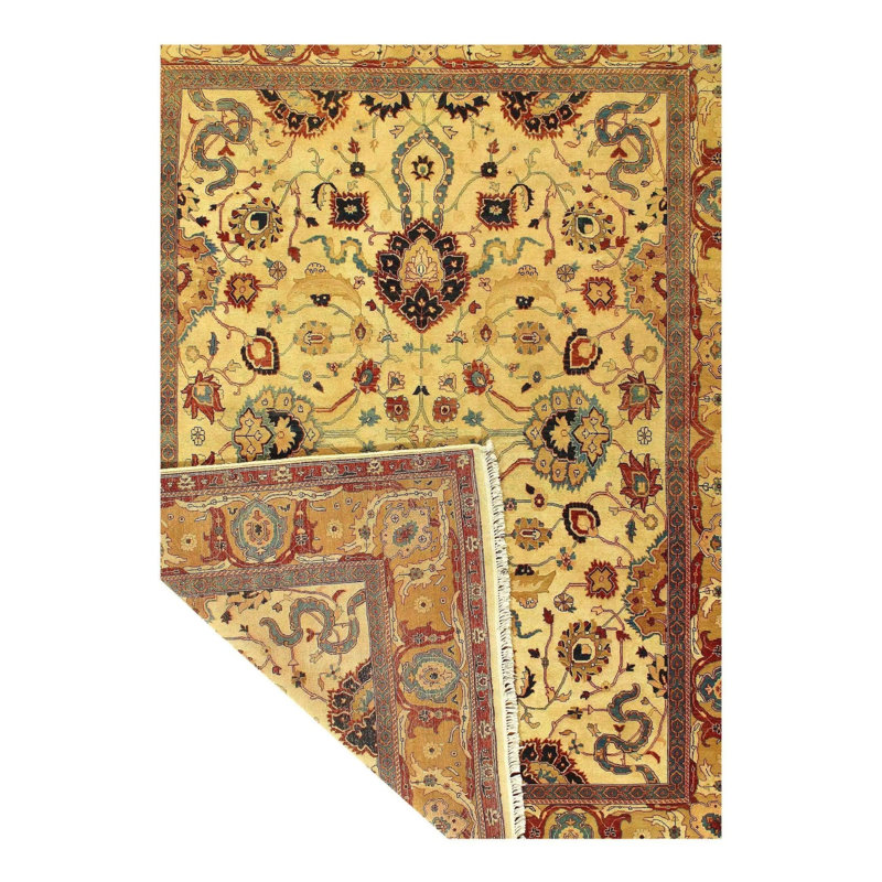 Oriental Area Rug in Beige
