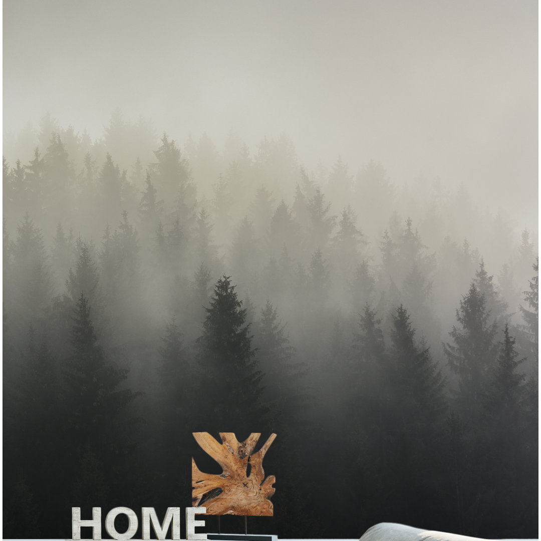 Baez Misty Foggy Pine Wall Mural Foundry Select 