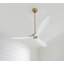 Maverick Downrod Ceiling Fan-12179903-101197725
