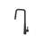 AGUA CANADA Master Pull Down Kitchen Faucet