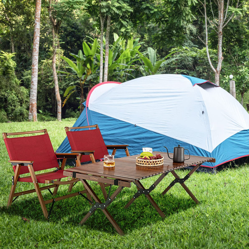 Anyela Fabric Camping / Beach Folding Chair Folding Chair