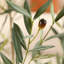 Olive artificielle Adcock avec pot rond-2051534837
