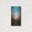 Laurel Foundry Modern Farmhouse 'Daydream' by Decent Exposures Metal Wall Art