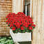 4 pièces Fleurs de coing artificielles pour fleurs en soie d'extérieur-1707750938