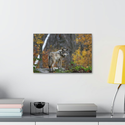 Impression d'art loup majestueux