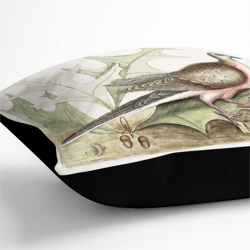Pigeon of Passage by Mark Catesby Cushion with Filling, Black, 55cm H x 55cm W x 20cm D