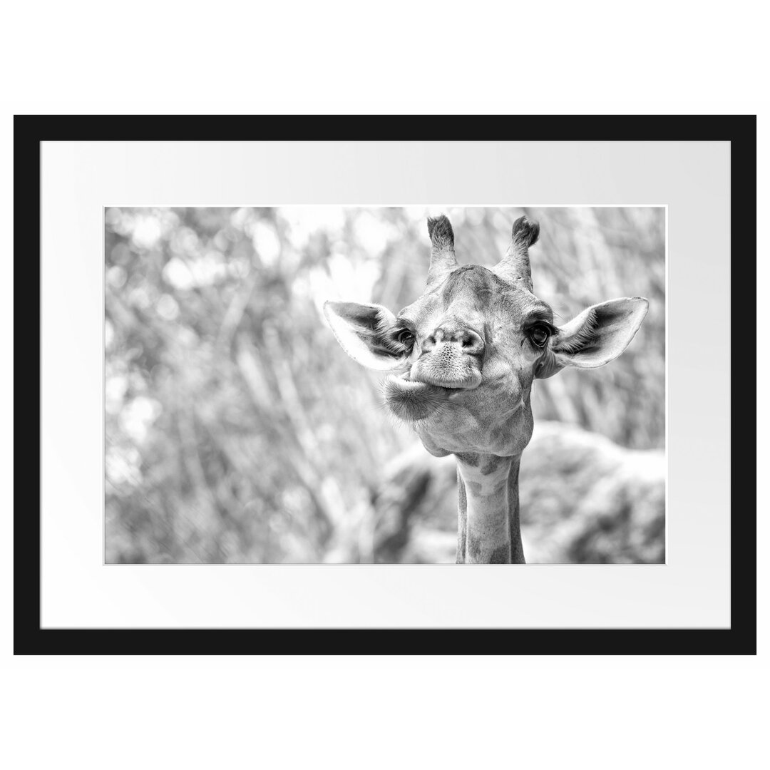 Gerahmtes Poster Giraffe in der Natur