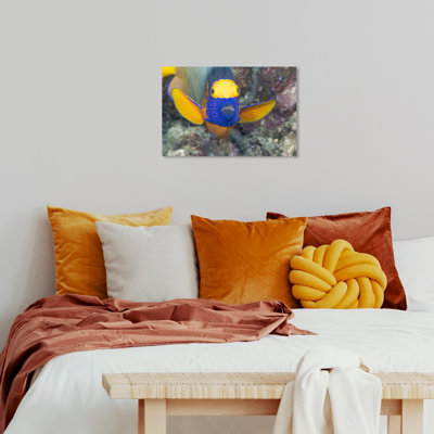 «Yellowmask Angelfish» par David Fleetham - impression sur toile tendue