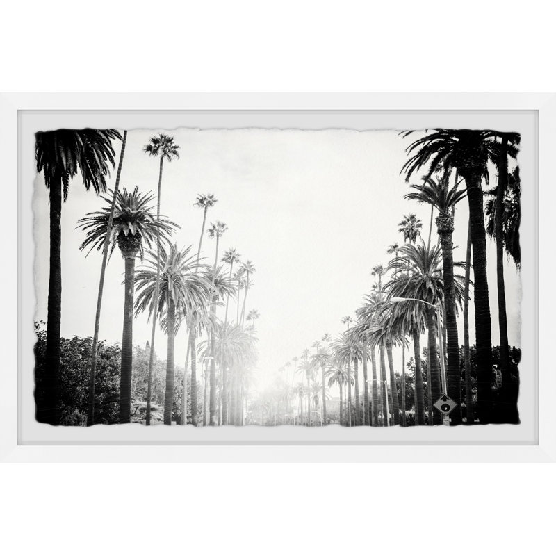 Line Of Palm Trees - Single Picture Frame Print, 61cm H x 91cm W x 3.81cm D