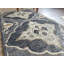 Tiny Knots Hand Woven Wool Area Rug