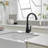 VIBRANTBATH Kitchen Faucet