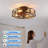  20'' Farmhouse Reversible Caged Ceiling Fan with Light Kit And Remote-1650830879
