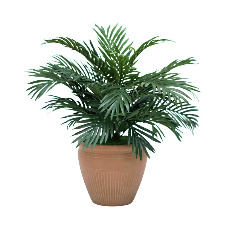 29" Parlor Palm in Matte Terracotta Ceramic