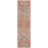 Machine Washable Indoor/Outdoor Cicel ACN1156 Coral Rug-100247719