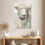 Brampt Muted Lamb-108360354