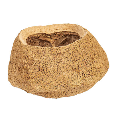 Pod sapa